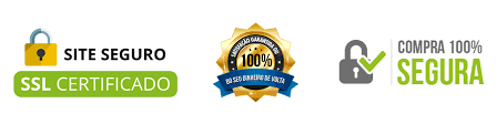 site-seguro3
